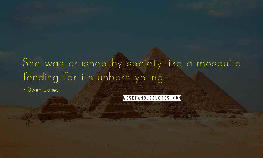 Owen Jones Quotes: She was crushed by society like a mosquito fending for its unborn young