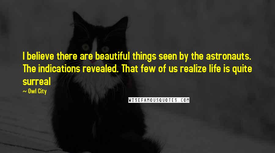 Owl City Quotes: I believe there are beautiful things seen by the astronauts. The indications revealed. That few of us realize life is quite surreal