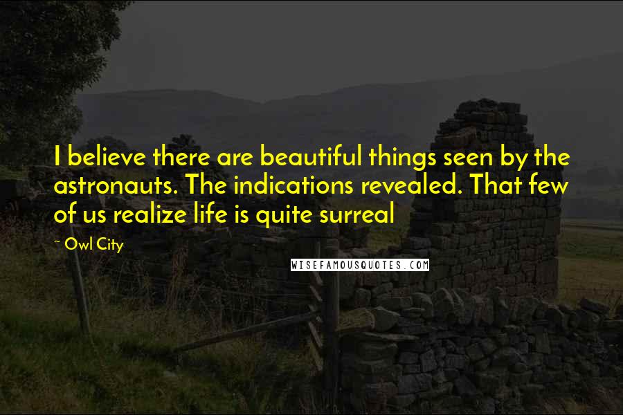 Owl City Quotes: I believe there are beautiful things seen by the astronauts. The indications revealed. That few of us realize life is quite surreal