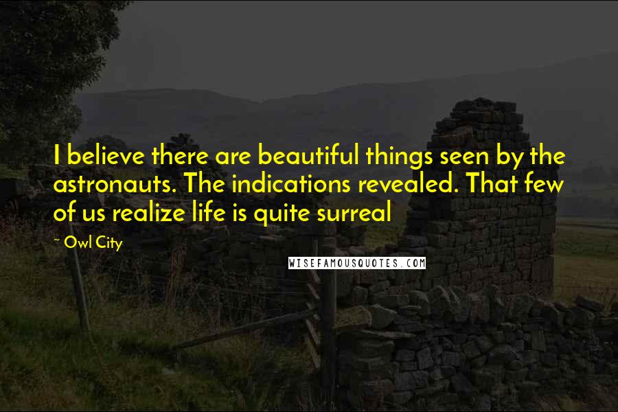 Owl City Quotes: I believe there are beautiful things seen by the astronauts. The indications revealed. That few of us realize life is quite surreal