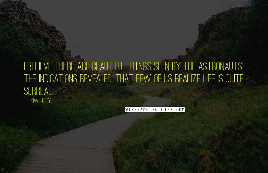 Owl City Quotes: I believe there are beautiful things seen by the astronauts. The indications revealed. That few of us realize life is quite surreal