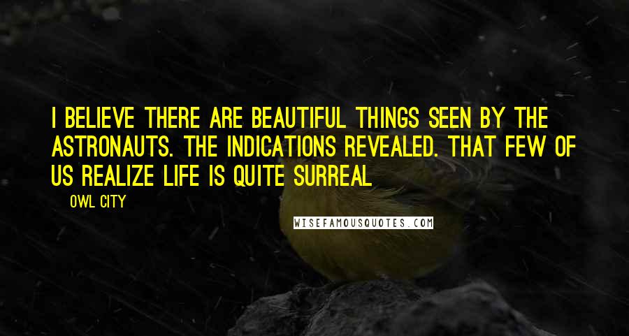 Owl City Quotes: I believe there are beautiful things seen by the astronauts. The indications revealed. That few of us realize life is quite surreal