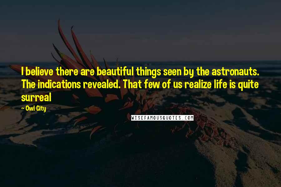 Owl City Quotes: I believe there are beautiful things seen by the astronauts. The indications revealed. That few of us realize life is quite surreal