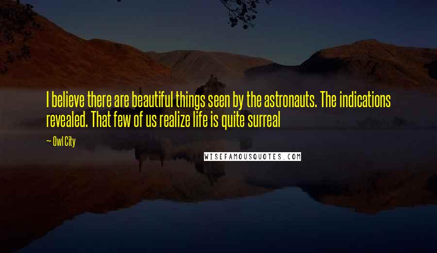 Owl City Quotes: I believe there are beautiful things seen by the astronauts. The indications revealed. That few of us realize life is quite surreal