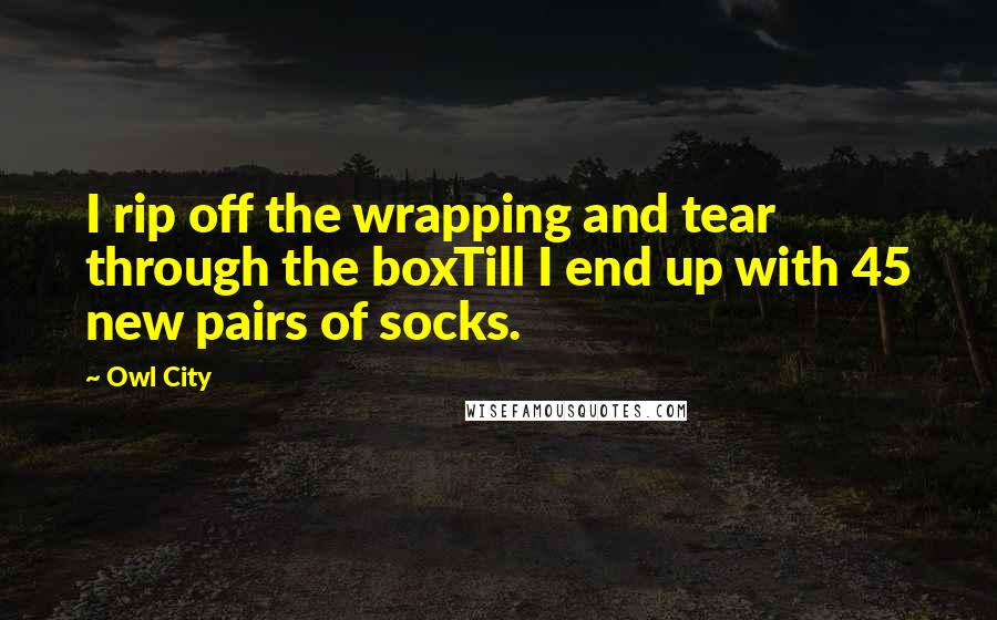 Owl City Quotes: I rip off the wrapping and tear through the boxTill I end up with 45 new pairs of socks.