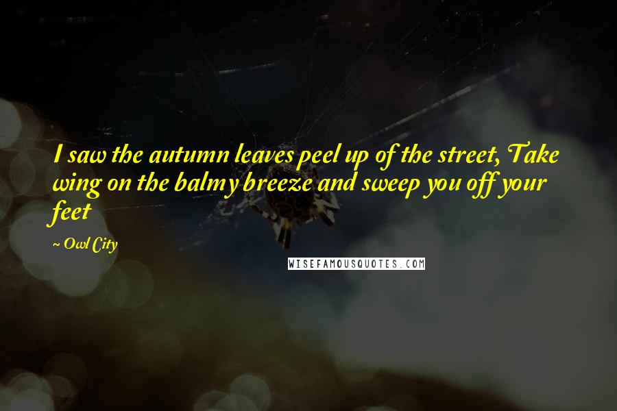 Owl City Quotes: I saw the autumn leaves peel up of the street, Take wing on the balmy breeze and sweep you off your feet