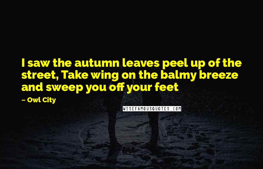 Owl City Quotes: I saw the autumn leaves peel up of the street, Take wing on the balmy breeze and sweep you off your feet