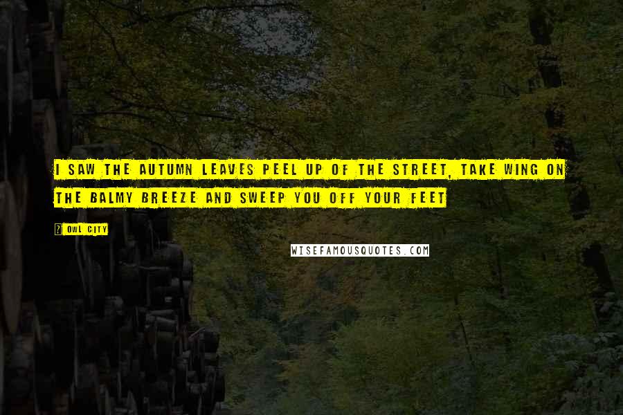 Owl City Quotes: I saw the autumn leaves peel up of the street, Take wing on the balmy breeze and sweep you off your feet