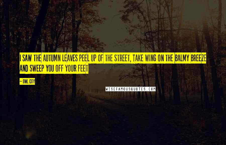 Owl City Quotes: I saw the autumn leaves peel up of the street, Take wing on the balmy breeze and sweep you off your feet