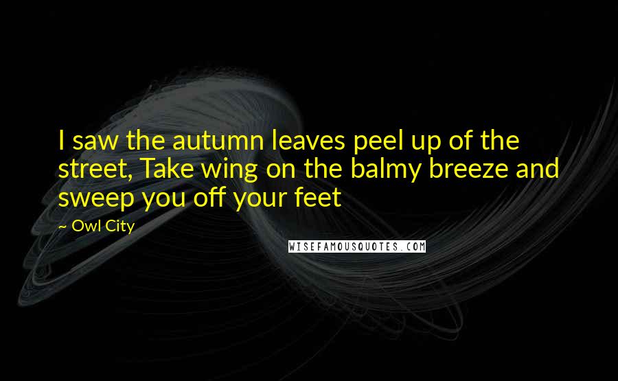 Owl City Quotes: I saw the autumn leaves peel up of the street, Take wing on the balmy breeze and sweep you off your feet
