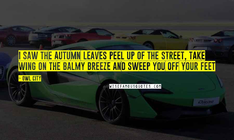 Owl City Quotes: I saw the autumn leaves peel up of the street, Take wing on the balmy breeze and sweep you off your feet