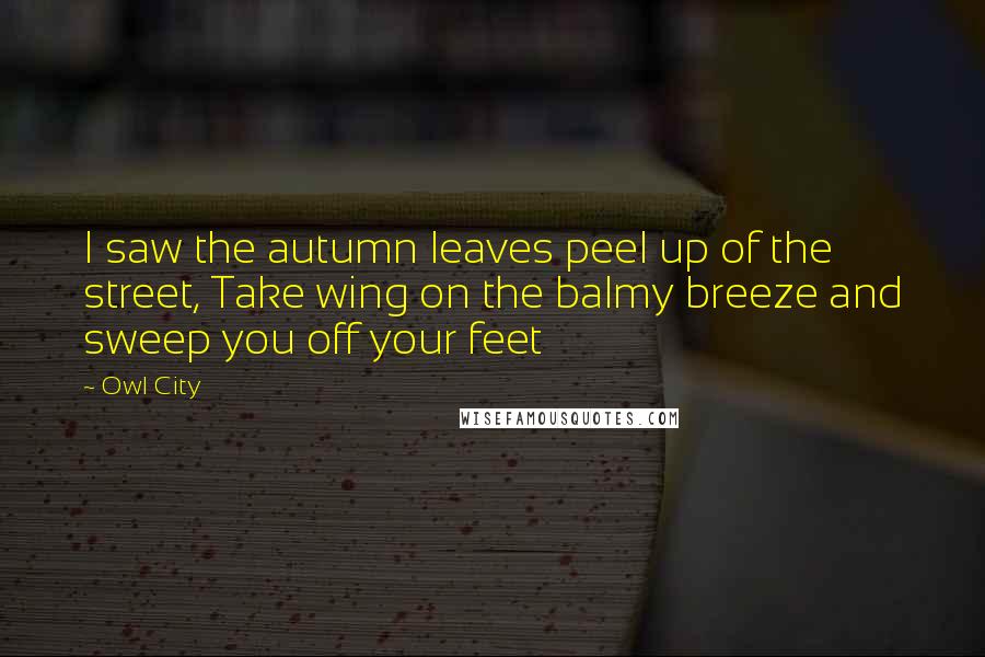 Owl City Quotes: I saw the autumn leaves peel up of the street, Take wing on the balmy breeze and sweep you off your feet