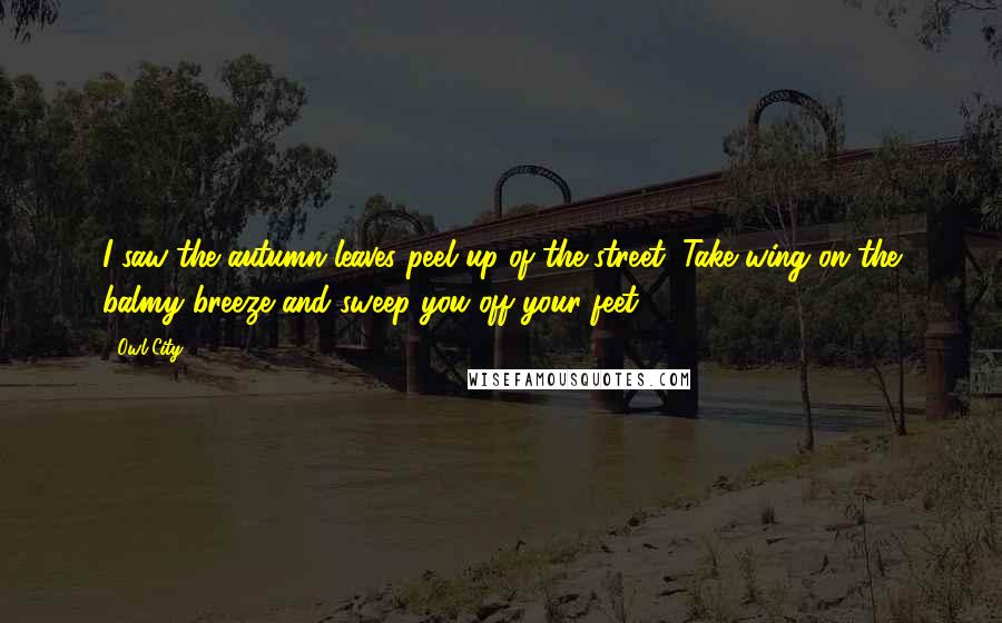 Owl City Quotes: I saw the autumn leaves peel up of the street, Take wing on the balmy breeze and sweep you off your feet