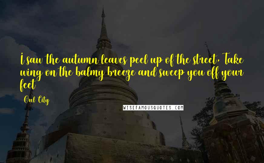 Owl City Quotes: I saw the autumn leaves peel up of the street, Take wing on the balmy breeze and sweep you off your feet