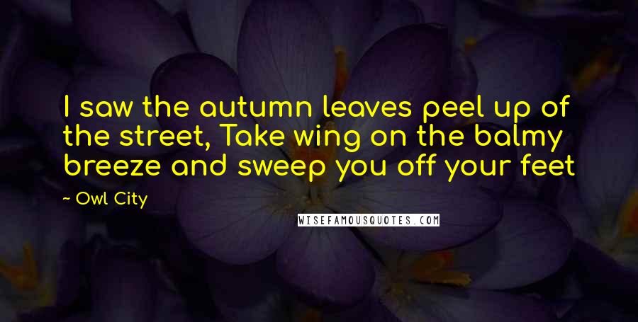 Owl City Quotes: I saw the autumn leaves peel up of the street, Take wing on the balmy breeze and sweep you off your feet