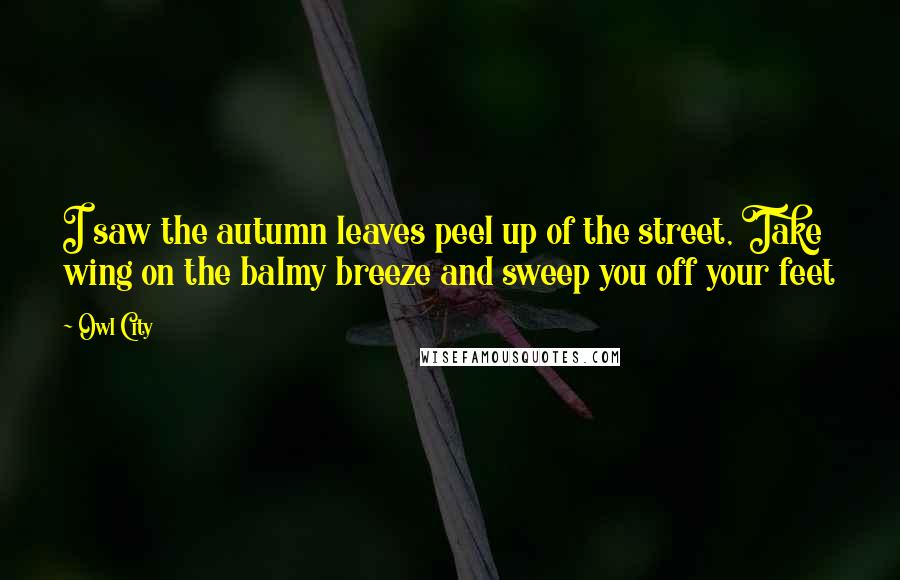Owl City Quotes: I saw the autumn leaves peel up of the street, Take wing on the balmy breeze and sweep you off your feet