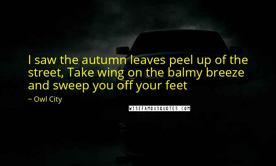 Owl City Quotes: I saw the autumn leaves peel up of the street, Take wing on the balmy breeze and sweep you off your feet