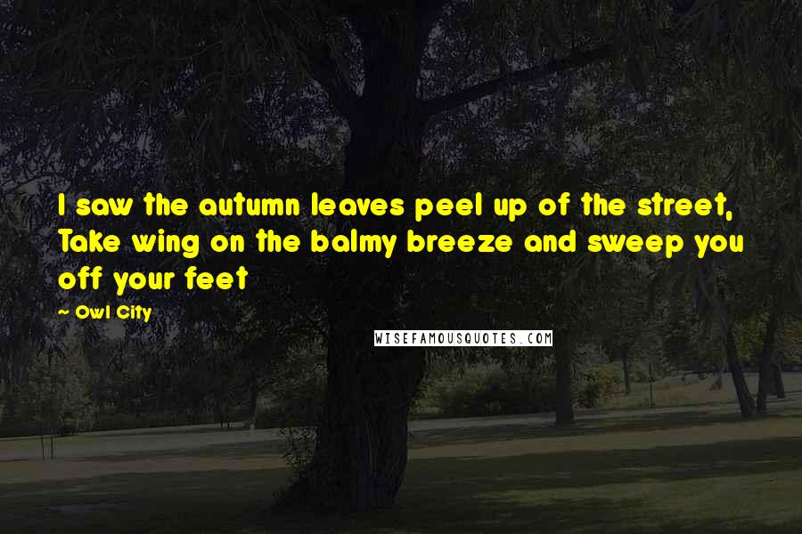 Owl City Quotes: I saw the autumn leaves peel up of the street, Take wing on the balmy breeze and sweep you off your feet