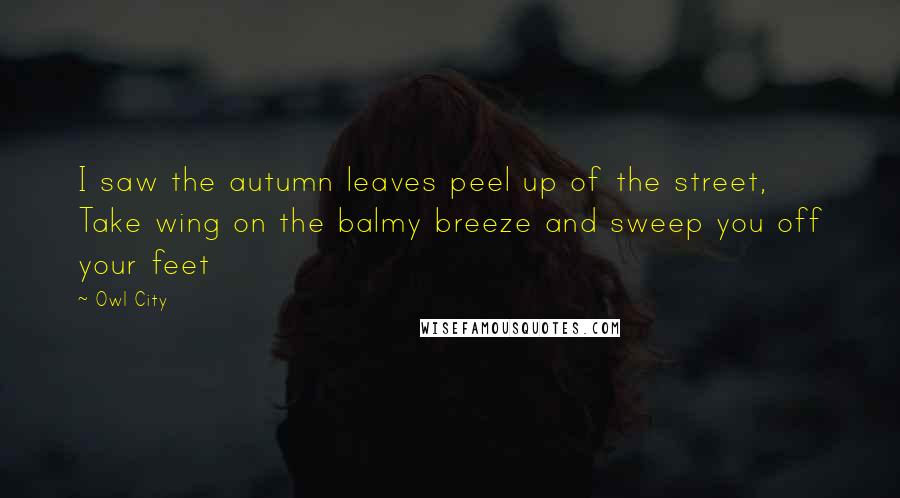 Owl City Quotes: I saw the autumn leaves peel up of the street, Take wing on the balmy breeze and sweep you off your feet