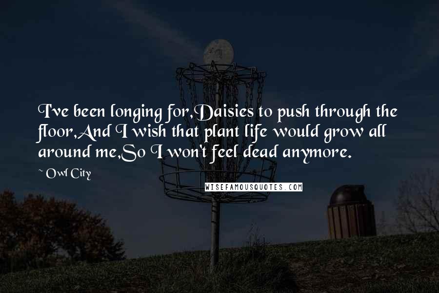 Owl City Quotes: I've been longing for,Daisies to push through the floor,And I wish that plant life would grow all around me,So I won't feel dead anymore.