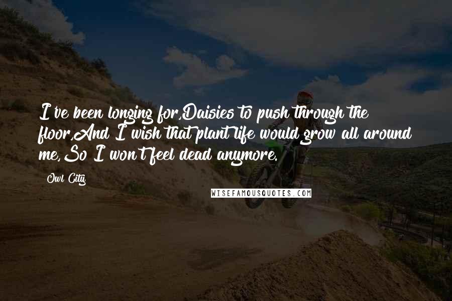 Owl City Quotes: I've been longing for,Daisies to push through the floor,And I wish that plant life would grow all around me,So I won't feel dead anymore.