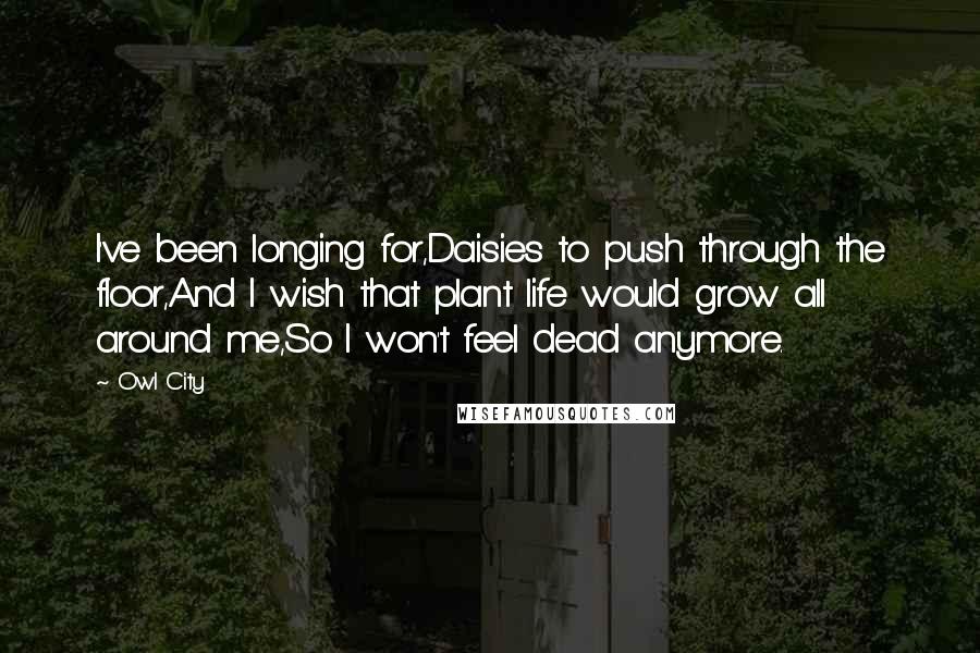 Owl City Quotes: I've been longing for,Daisies to push through the floor,And I wish that plant life would grow all around me,So I won't feel dead anymore.