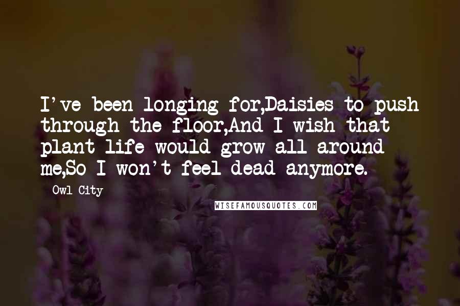 Owl City Quotes: I've been longing for,Daisies to push through the floor,And I wish that plant life would grow all around me,So I won't feel dead anymore.