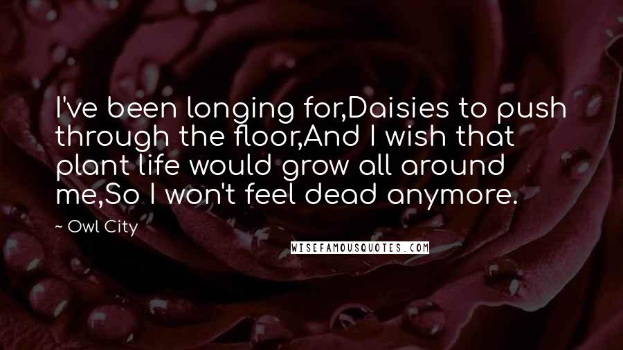 Owl City Quotes: I've been longing for,Daisies to push through the floor,And I wish that plant life would grow all around me,So I won't feel dead anymore.