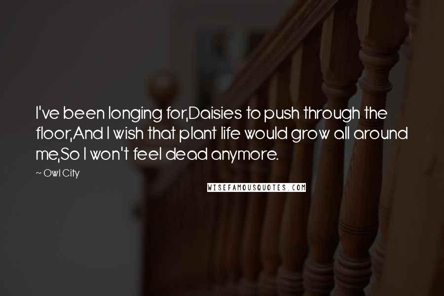 Owl City Quotes: I've been longing for,Daisies to push through the floor,And I wish that plant life would grow all around me,So I won't feel dead anymore.