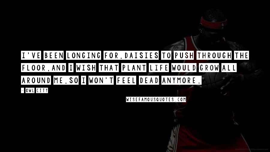 Owl City Quotes: I've been longing for,Daisies to push through the floor,And I wish that plant life would grow all around me,So I won't feel dead anymore.