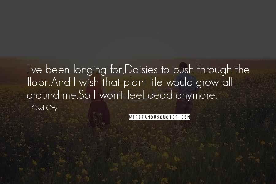 Owl City Quotes: I've been longing for,Daisies to push through the floor,And I wish that plant life would grow all around me,So I won't feel dead anymore.