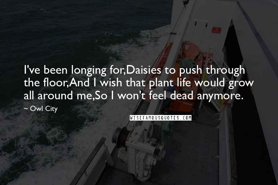 Owl City Quotes: I've been longing for,Daisies to push through the floor,And I wish that plant life would grow all around me,So I won't feel dead anymore.