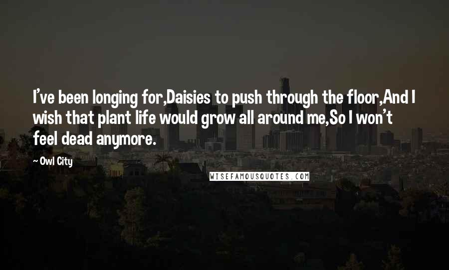 Owl City Quotes: I've been longing for,Daisies to push through the floor,And I wish that plant life would grow all around me,So I won't feel dead anymore.