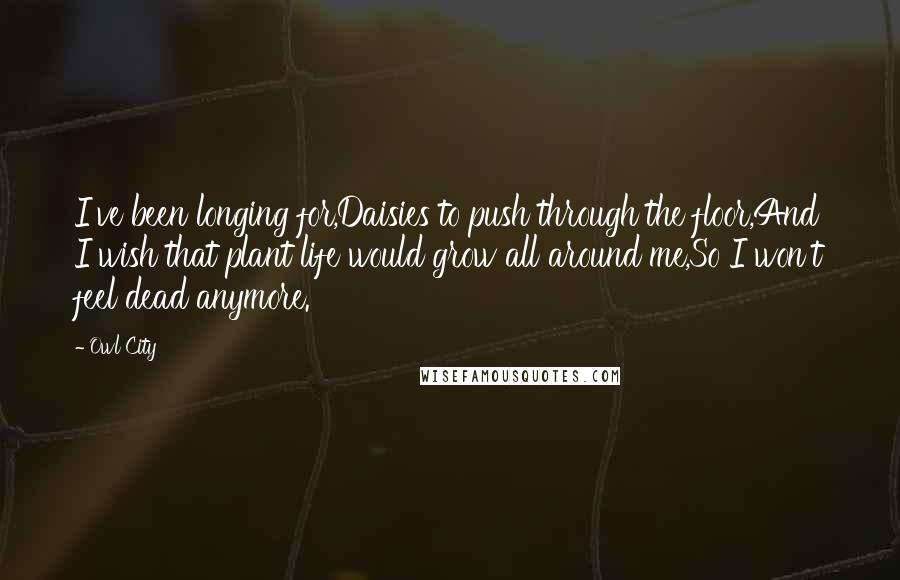 Owl City Quotes: I've been longing for,Daisies to push through the floor,And I wish that plant life would grow all around me,So I won't feel dead anymore.