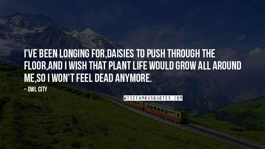 Owl City Quotes: I've been longing for,Daisies to push through the floor,And I wish that plant life would grow all around me,So I won't feel dead anymore.