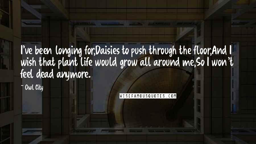 Owl City Quotes: I've been longing for,Daisies to push through the floor,And I wish that plant life would grow all around me,So I won't feel dead anymore.