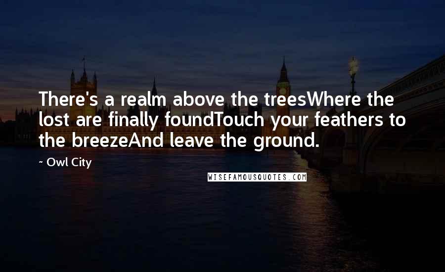 Owl City Quotes: There's a realm above the treesWhere the lost are finally foundTouch your feathers to the breezeAnd leave the ground.