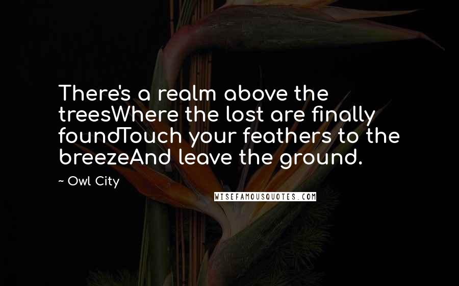 Owl City Quotes: There's a realm above the treesWhere the lost are finally foundTouch your feathers to the breezeAnd leave the ground.