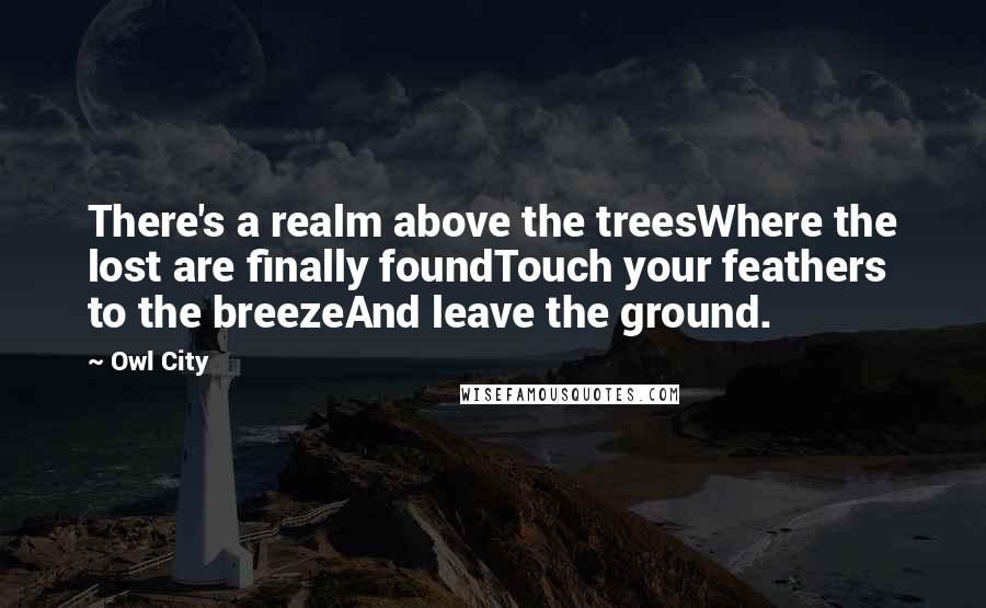 Owl City Quotes: There's a realm above the treesWhere the lost are finally foundTouch your feathers to the breezeAnd leave the ground.