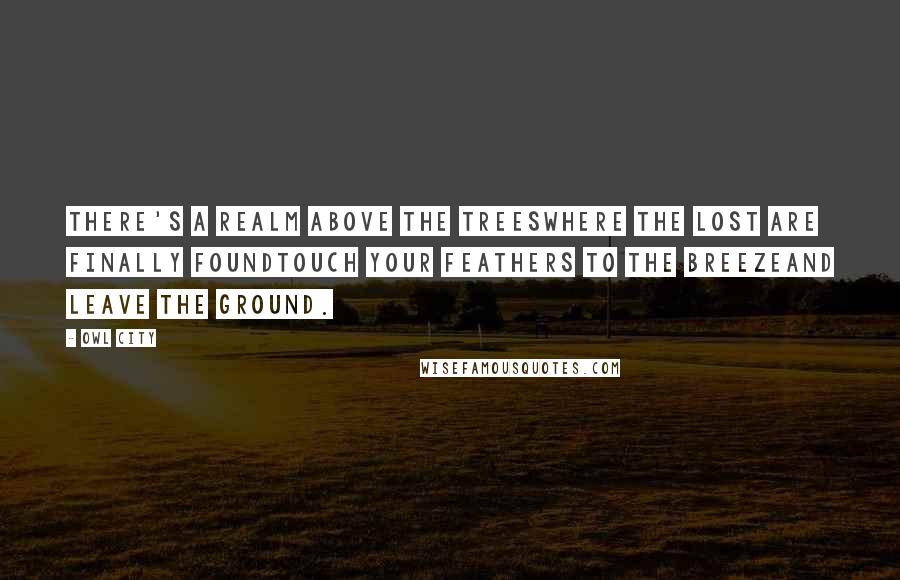 Owl City Quotes: There's a realm above the treesWhere the lost are finally foundTouch your feathers to the breezeAnd leave the ground.