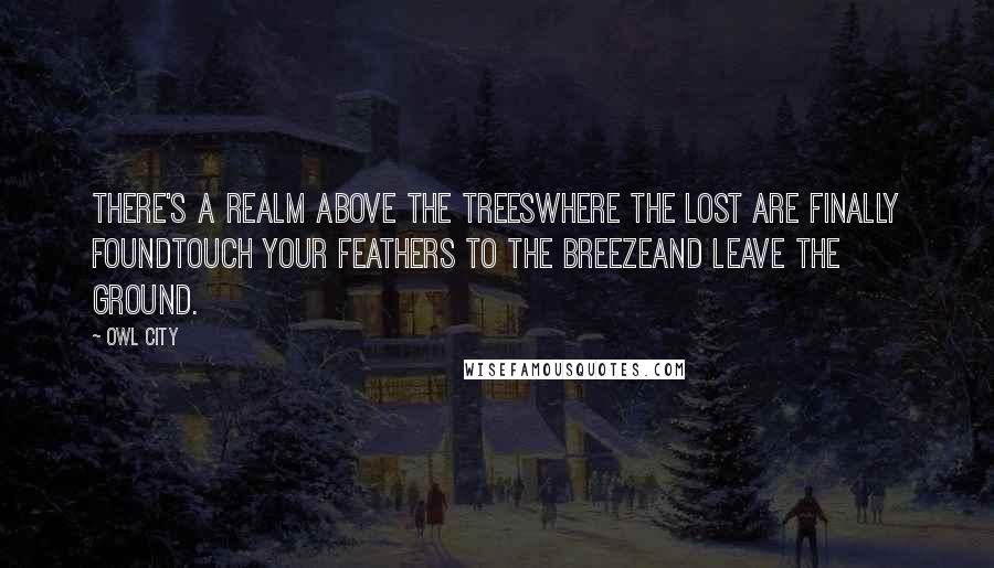 Owl City Quotes: There's a realm above the treesWhere the lost are finally foundTouch your feathers to the breezeAnd leave the ground.