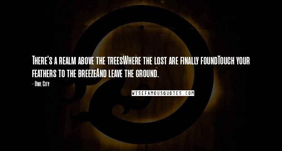 Owl City Quotes: There's a realm above the treesWhere the lost are finally foundTouch your feathers to the breezeAnd leave the ground.