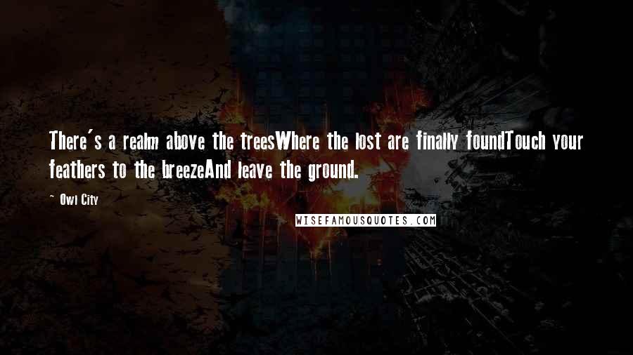 Owl City Quotes: There's a realm above the treesWhere the lost are finally foundTouch your feathers to the breezeAnd leave the ground.