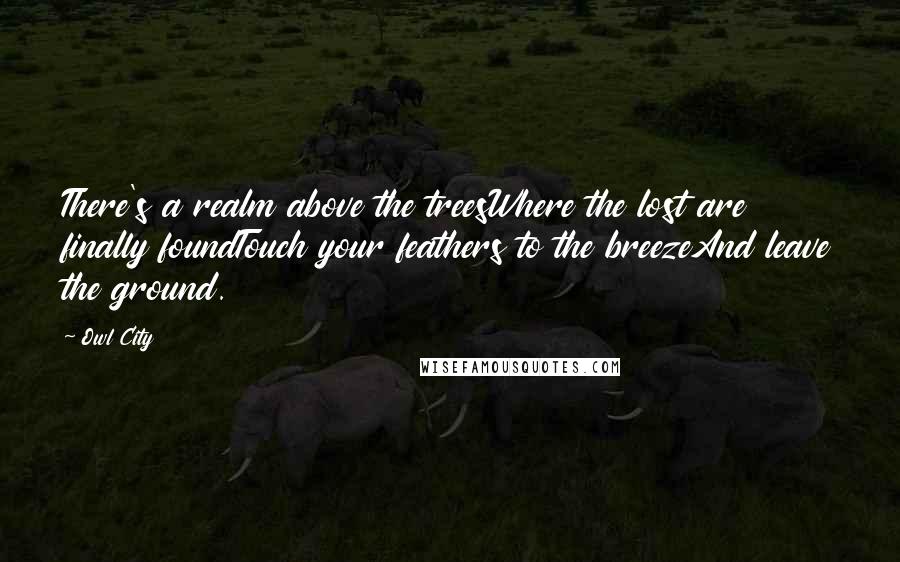 Owl City Quotes: There's a realm above the treesWhere the lost are finally foundTouch your feathers to the breezeAnd leave the ground.