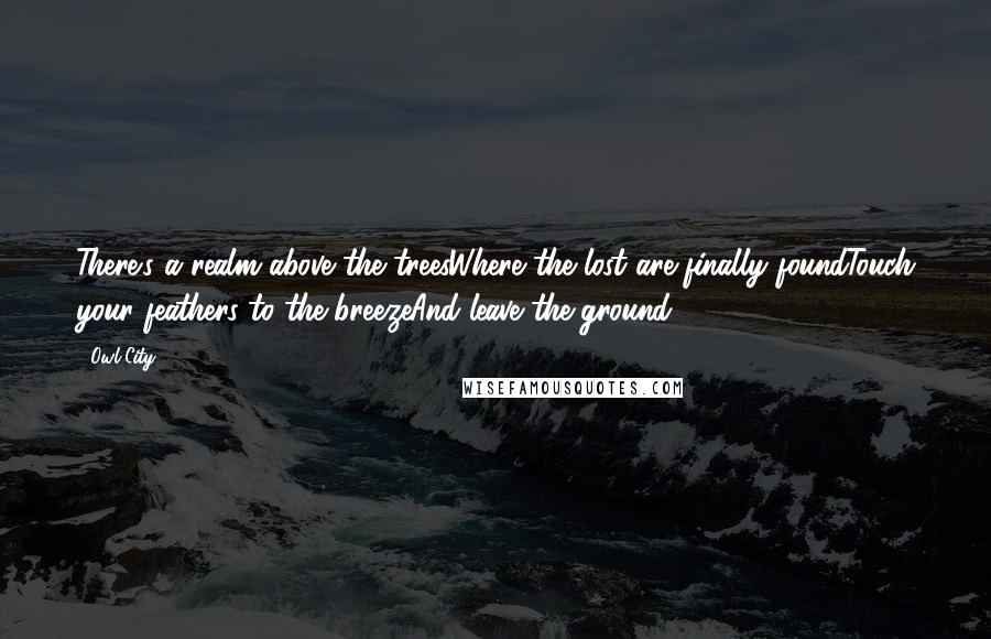 Owl City Quotes: There's a realm above the treesWhere the lost are finally foundTouch your feathers to the breezeAnd leave the ground.