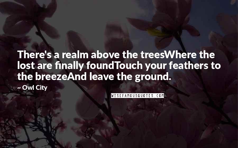 Owl City Quotes: There's a realm above the treesWhere the lost are finally foundTouch your feathers to the breezeAnd leave the ground.