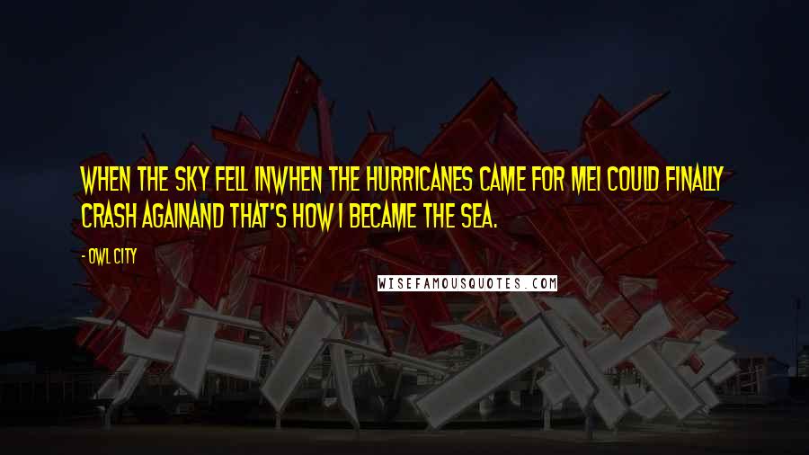 Owl City Quotes: When the sky fell inWhen the hurricanes came for meI could finally crash againAnd that's how I became the sea.