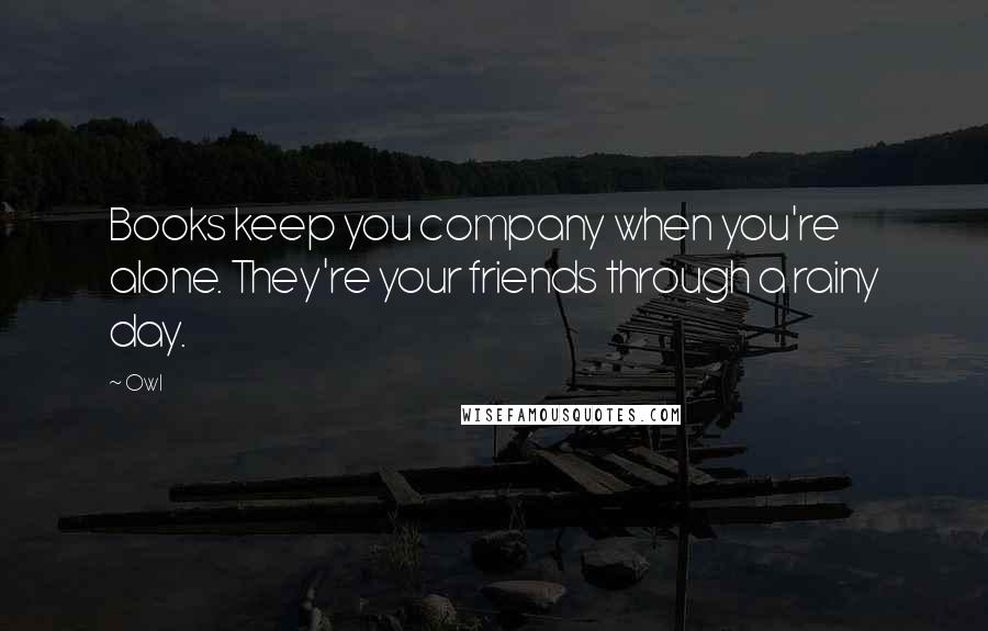 Owl Quotes: Books keep you company when you're alone. They're your friends through a rainy day.