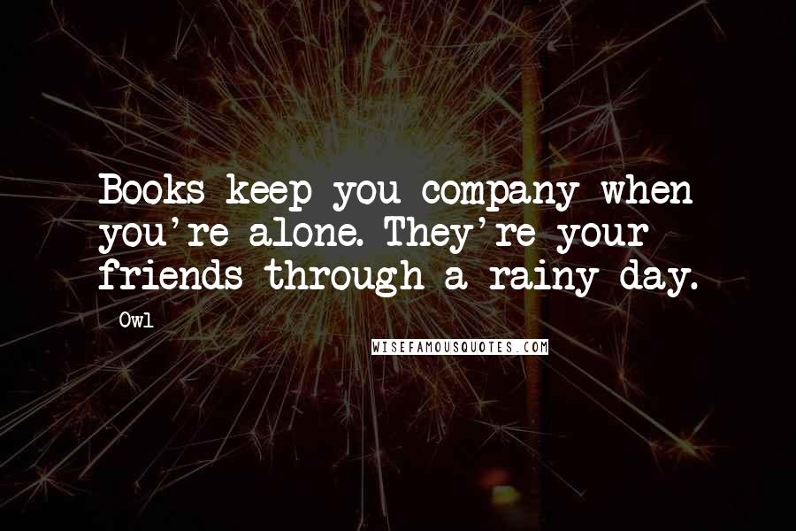 Owl Quotes: Books keep you company when you're alone. They're your friends through a rainy day.