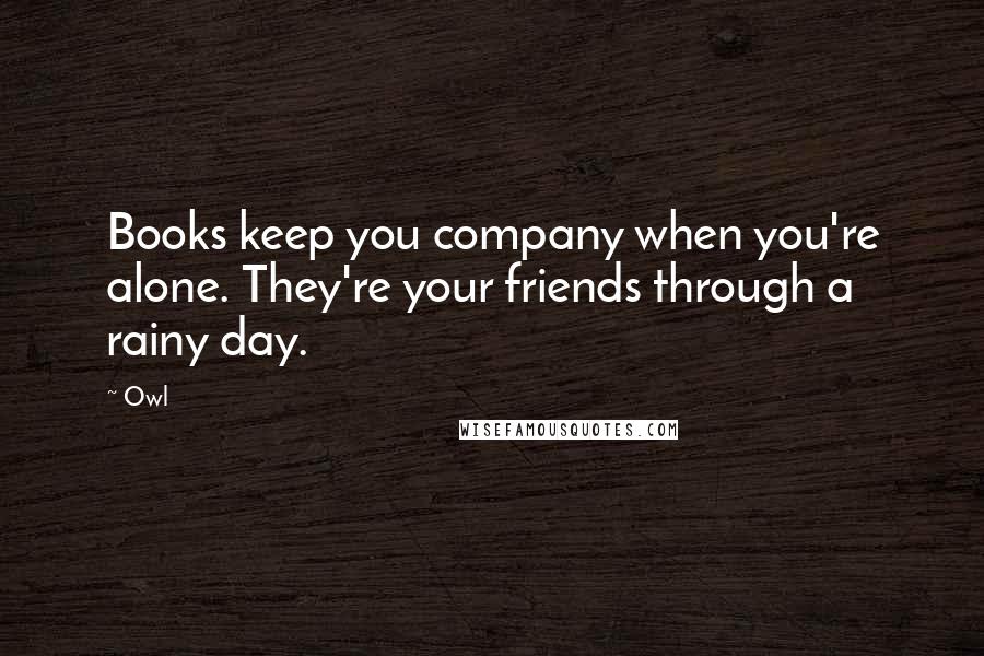 Owl Quotes: Books keep you company when you're alone. They're your friends through a rainy day.